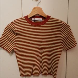 Zara short sleeve cropped top!